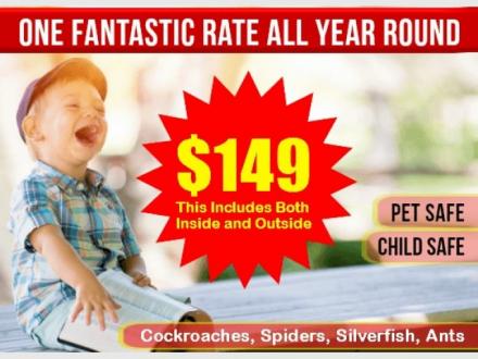 Pest Control Brisbane Pest Control Brisbane