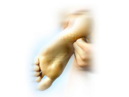 Physio Excellence Physio Excellence