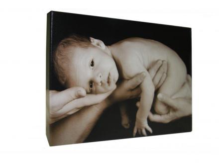 ROC Canvas Prints ROC Canvas Prints