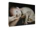 ROC Canvas Prints ROC Canvas Prints