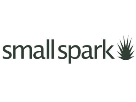 Small Spark Web Design and Development