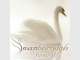 Swanborough Funerals Swanborough Funerals