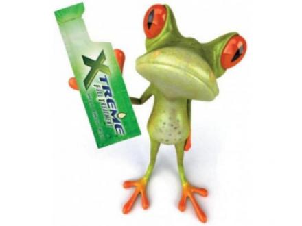 Syntek Global Xtreme Fuel Treatment XFT Syntek Global Xtreme Fuel Treatment XFT