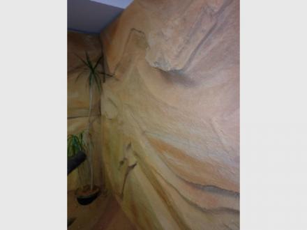 The Rock Shop