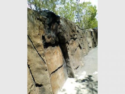 The Rock Shop