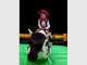 The Ultimate Mechanical Bull Hire! The Ultimate Mechanical Bull Hire!
