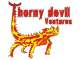 Thorny Devil Ventures