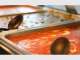 Top In Town - Indian and Fiji-style Cuisine