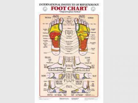 Tracey Holland Reflexology Tracey Holland Reflexology