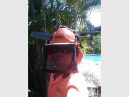 Tree Lopping Brisbane