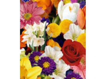 Zoom Blooms Florist