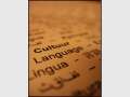 2014 International Conference on Deep Languages Education Policy & Practice