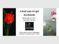 'A Brief Crack of Light': An Exhibition by Eva Richards