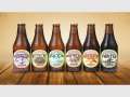 A Craft Beer & Food Journey