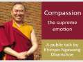 A public talk by Khenpo Ngawang Dhamchoe in Brisbane
