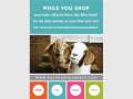 April Billycart Markets - Sandgate