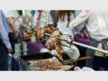 BBQ and Beer Roadshow at Doomben