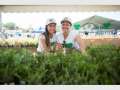 Brisbane City Council's Green Heart Fair