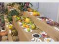  Brisbane Organic Growers Annual Fair 