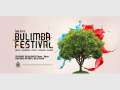 Bulimba Festival 2012