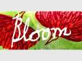 Cascade Textiles â€˜Bloomâ€™ Exhibition