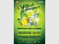 Celebrate Summer 