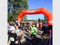Griffith Sport Logan Fun Run