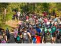 Griffith Sport Toohey Trail Run