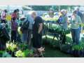 Herb Awareness - Queensland Herb Society Annual Event old