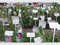 Herb Awareness - Queensland Herb Society Annual Event