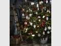 IKEA North Lakes Makes Money Grow on Trees for BNE Locals in Time for Xmas