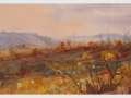 'Latitudes' - An Exhibition by Tony Walker