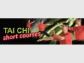 Learn the full Taoist Tai Chi set in one weekend