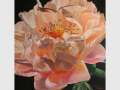 'Little Big' Exhibition by Sabine Kehoe