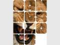 QLD Youngbloods presents: Cannes Lions Awards