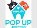 RSPCA Pop Up Adoption