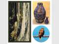 'Threads of Nature' Exhibition by Textile Art Group Qld