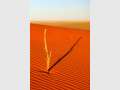  Way out West: Life. Place. Red Dirt.