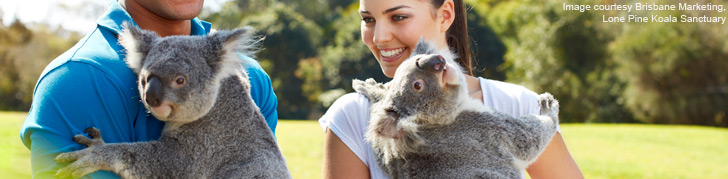 Lone Pine Koala Sanctuary